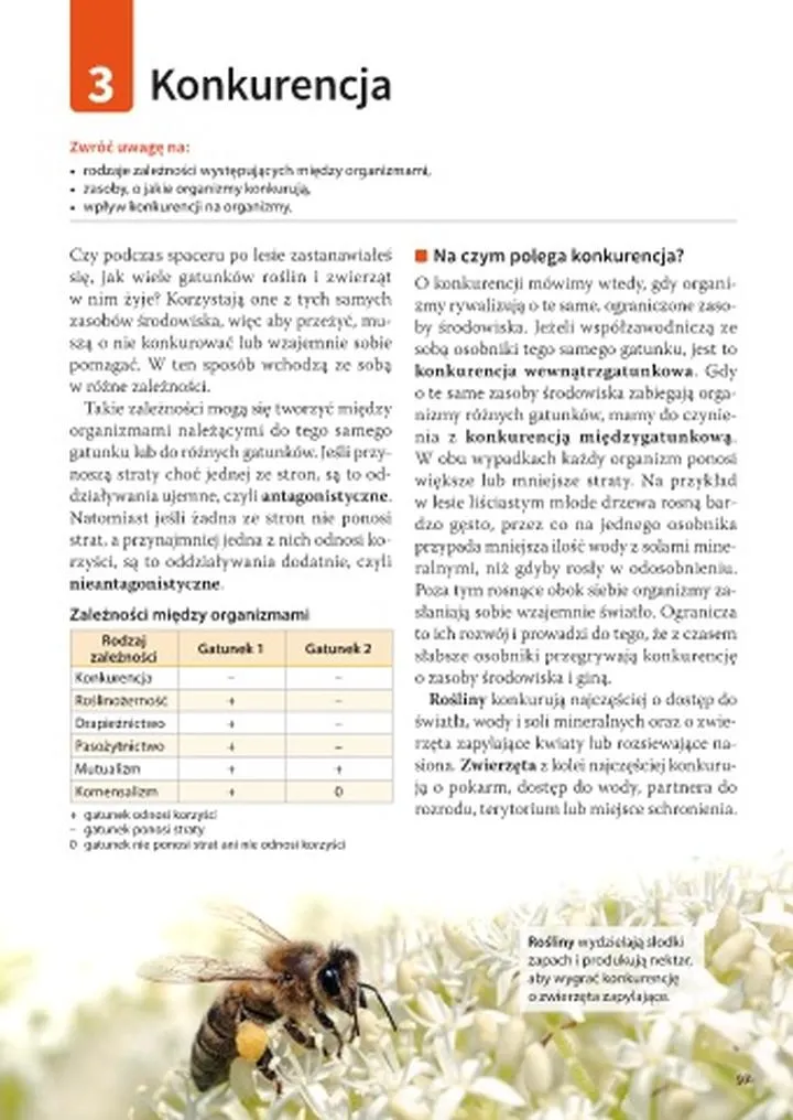 Adaptacje behawioralne do konkurencji