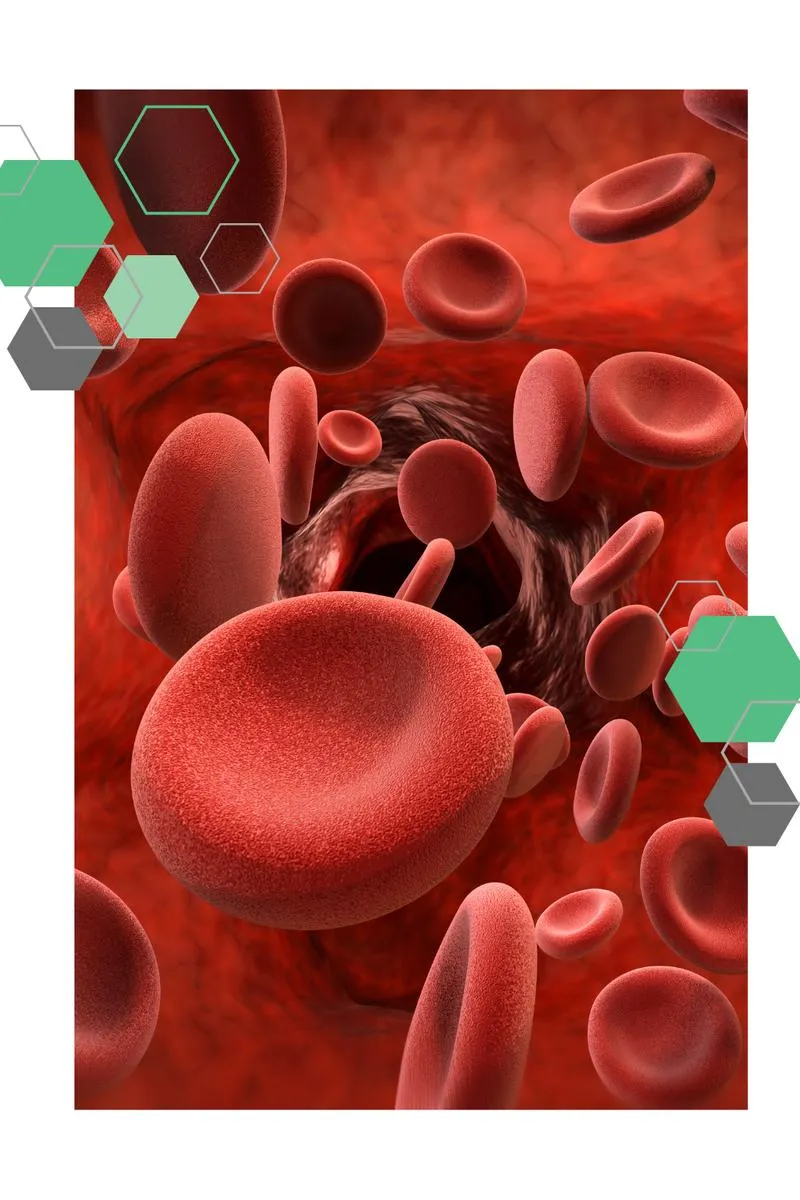 Alternatywne ścieżki kariery po biol-chemie