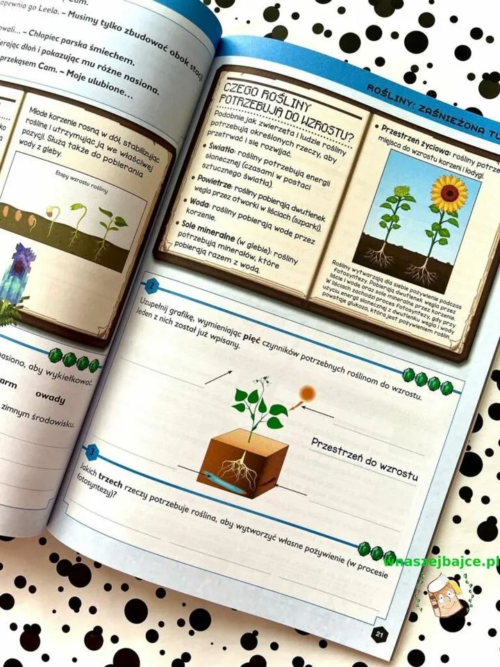 Biologia od podstaw do zaawansowanych