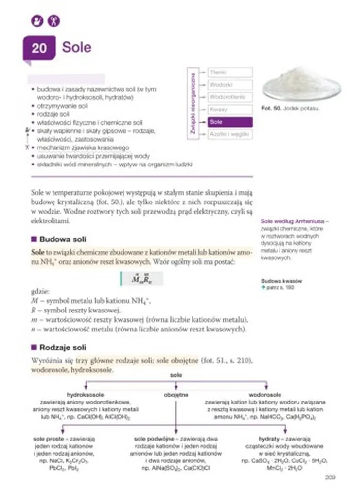 Sole w kuchni i konserwacji żywności