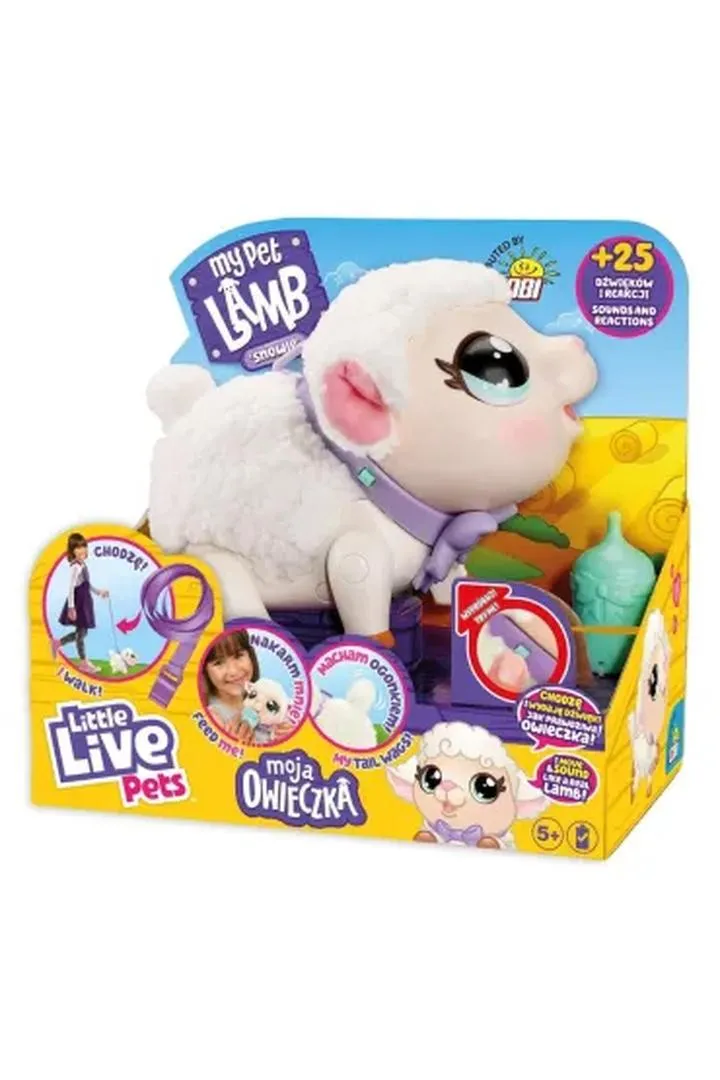 Zarządzanie czasem maturzysty